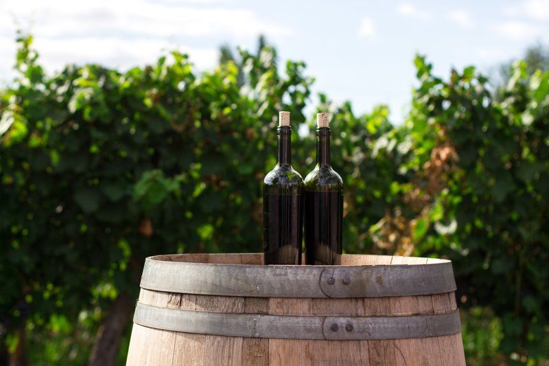crianza de vino madera y vino